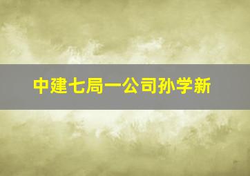 中建七局一公司孙学新