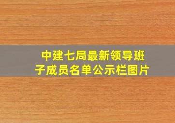 中建七局最新领导班子成员名单公示栏图片