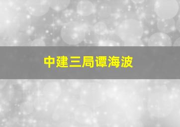 中建三局谭海波