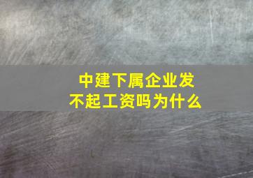 中建下属企业发不起工资吗为什么