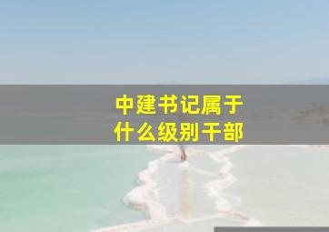 中建书记属于什么级别干部