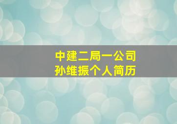 中建二局一公司孙维振个人简历