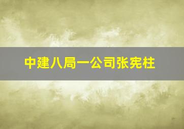 中建八局一公司张宪柱