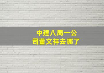 中建八局一公司董文祥去哪了