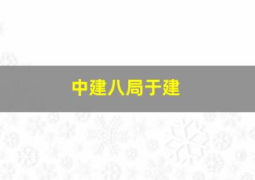 中建八局于建