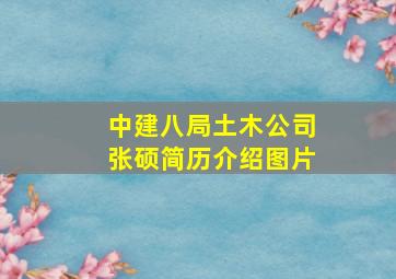 中建八局土木公司张硕简历介绍图片