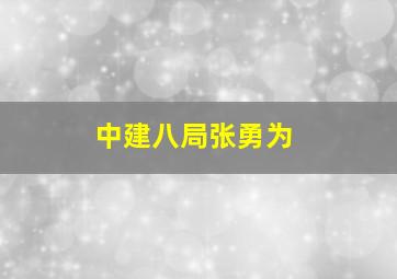 中建八局张勇为