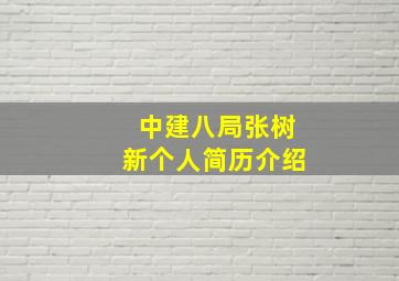 中建八局张树新个人简历介绍