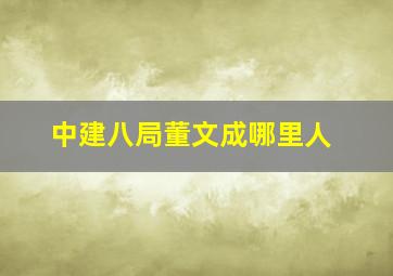 中建八局董文成哪里人