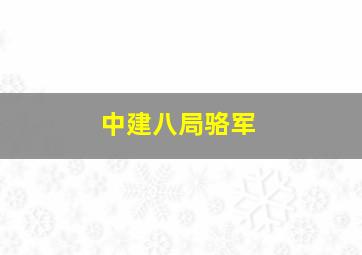 中建八局骆军