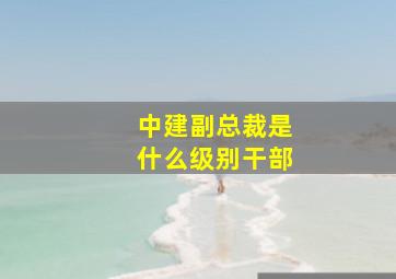 中建副总裁是什么级别干部