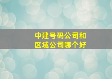 中建号码公司和区域公司哪个好