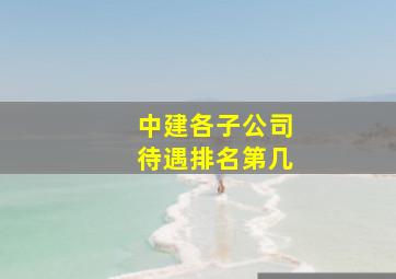 中建各子公司待遇排名第几