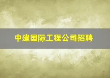 中建国际工程公司招聘