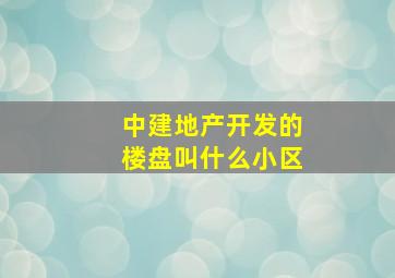 中建地产开发的楼盘叫什么小区