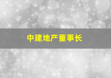 中建地产董事长