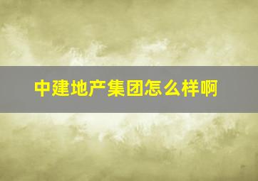 中建地产集团怎么样啊