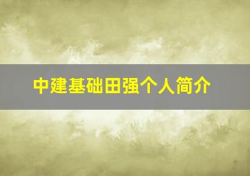 中建基础田强个人简介