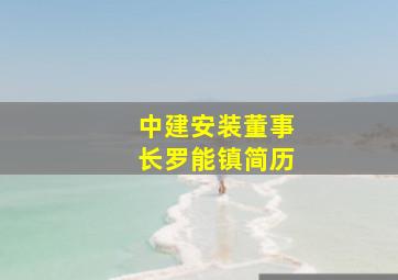 中建安装董事长罗能镇简历