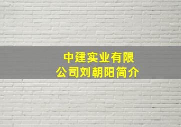 中建实业有限公司刘朝阳简介