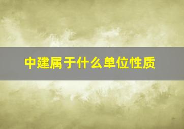 中建属于什么单位性质