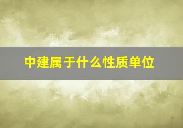 中建属于什么性质单位