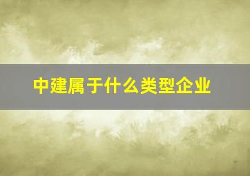 中建属于什么类型企业