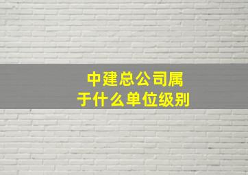 中建总公司属于什么单位级别