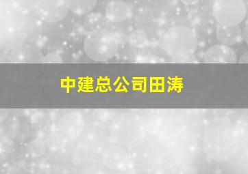 中建总公司田涛