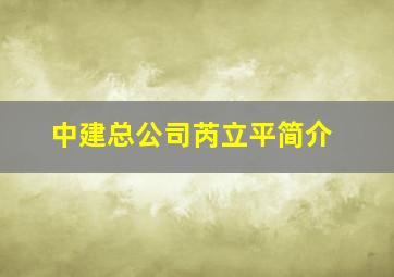 中建总公司芮立平简介