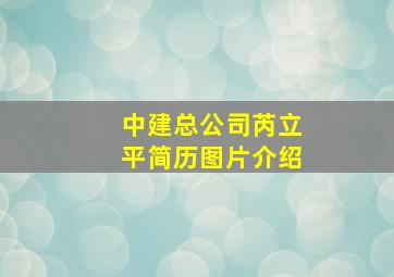 中建总公司芮立平简历图片介绍