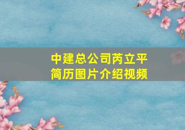 中建总公司芮立平简历图片介绍视频