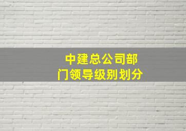 中建总公司部门领导级别划分