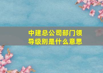 中建总公司部门领导级别是什么意思