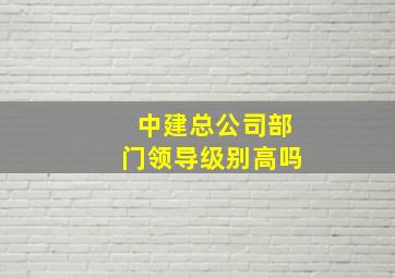 中建总公司部门领导级别高吗