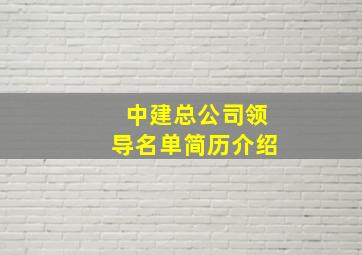 中建总公司领导名单简历介绍