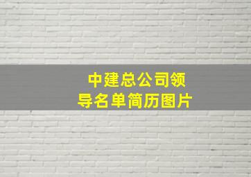 中建总公司领导名单简历图片