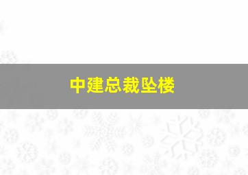 中建总裁坠楼