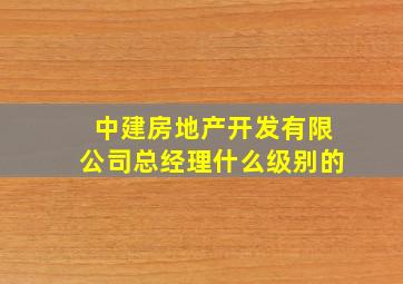 中建房地产开发有限公司总经理什么级别的