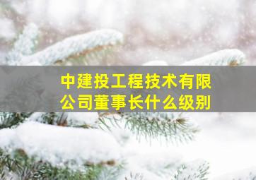 中建投工程技术有限公司董事长什么级别