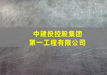 中建投控股集团第一工程有限公司