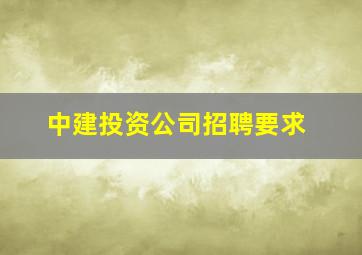 中建投资公司招聘要求