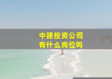 中建投资公司有什么岗位吗