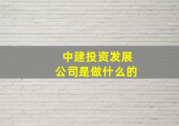 中建投资发展公司是做什么的