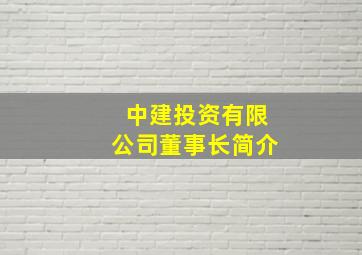 中建投资有限公司董事长简介