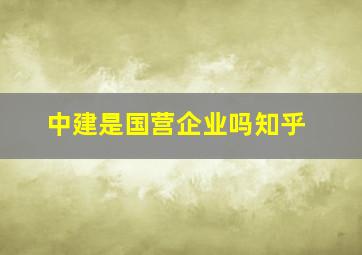 中建是国营企业吗知乎