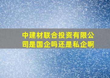 中建材联合投资有限公司是国企吗还是私企啊