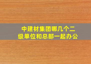 中建材集团哪几个二级单位和总部一起办公