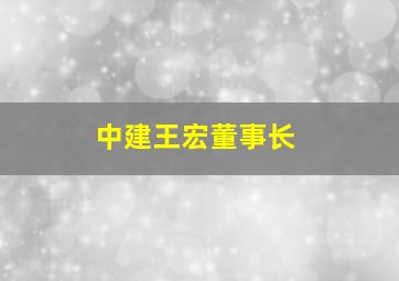 中建王宏董事长