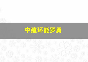 中建环能罗勇